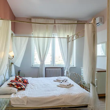 University Apartment شقة *